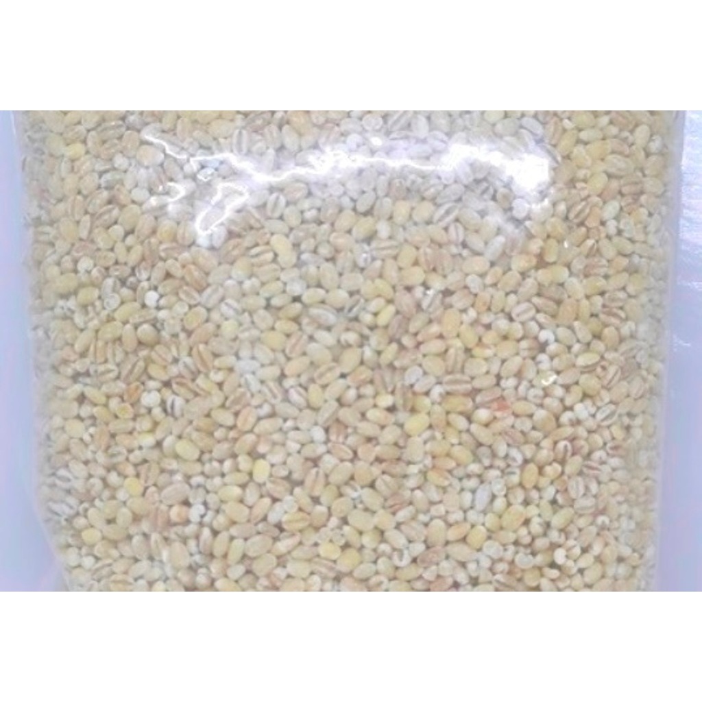 

10 Kg Barley - Biji Jali - Jali