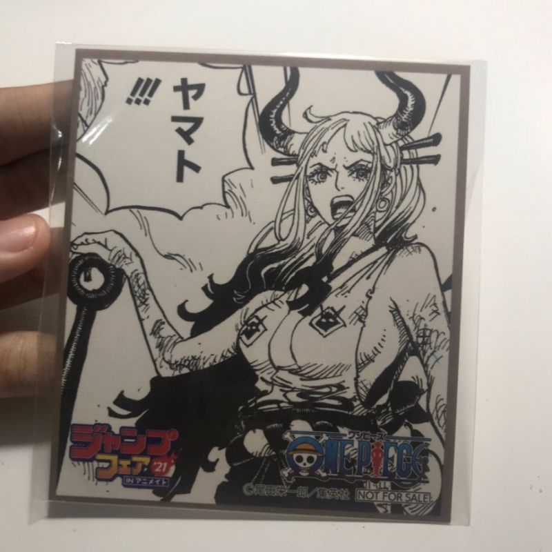 shikishi yamato one piece official