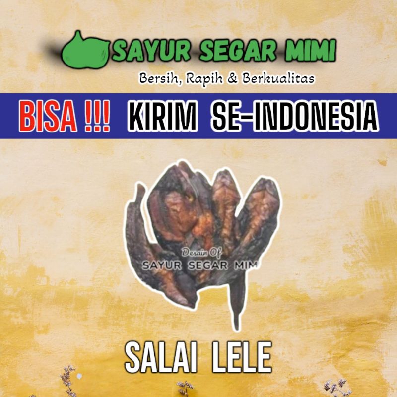 

Ikan Salai / Ikan Asap Lele - Sᴀʏᴜʀ Sᴇɢᴀʀ ♏ɪᴍɪ