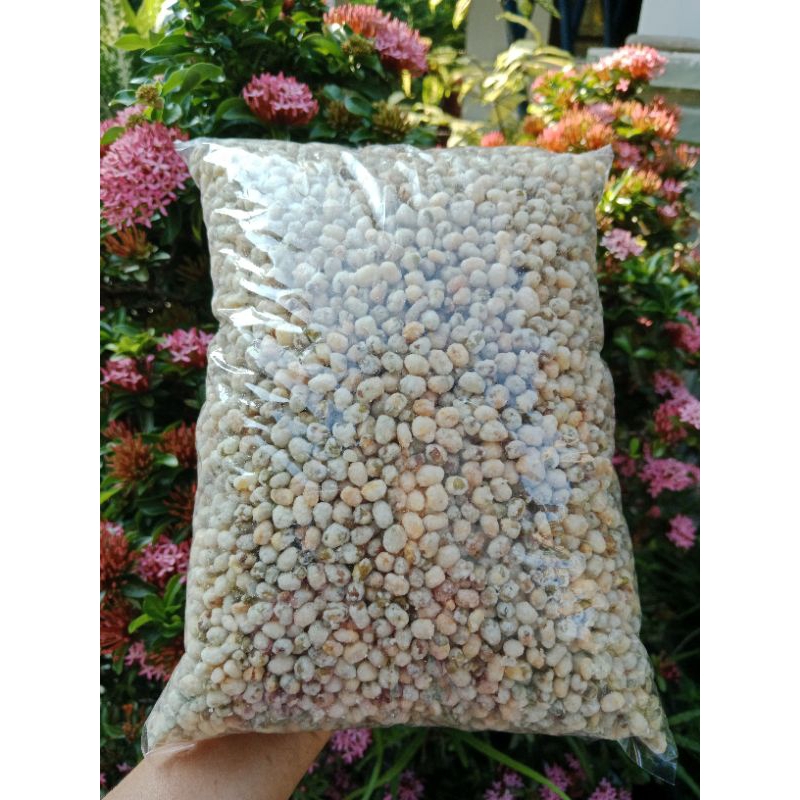 

Kacang hijau goreng 500gr