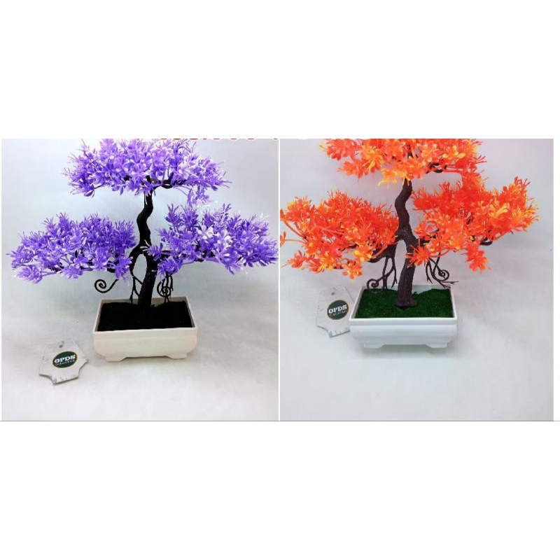 Bonsai Bunga Tanpa Vas Bonsai Bunga Kriwul Bonsai Bunga pohon Beringin Bonsai Siap pakai