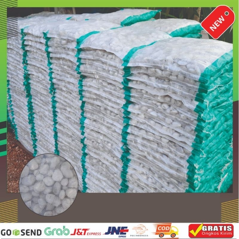 batu koral putih untuk Taman
