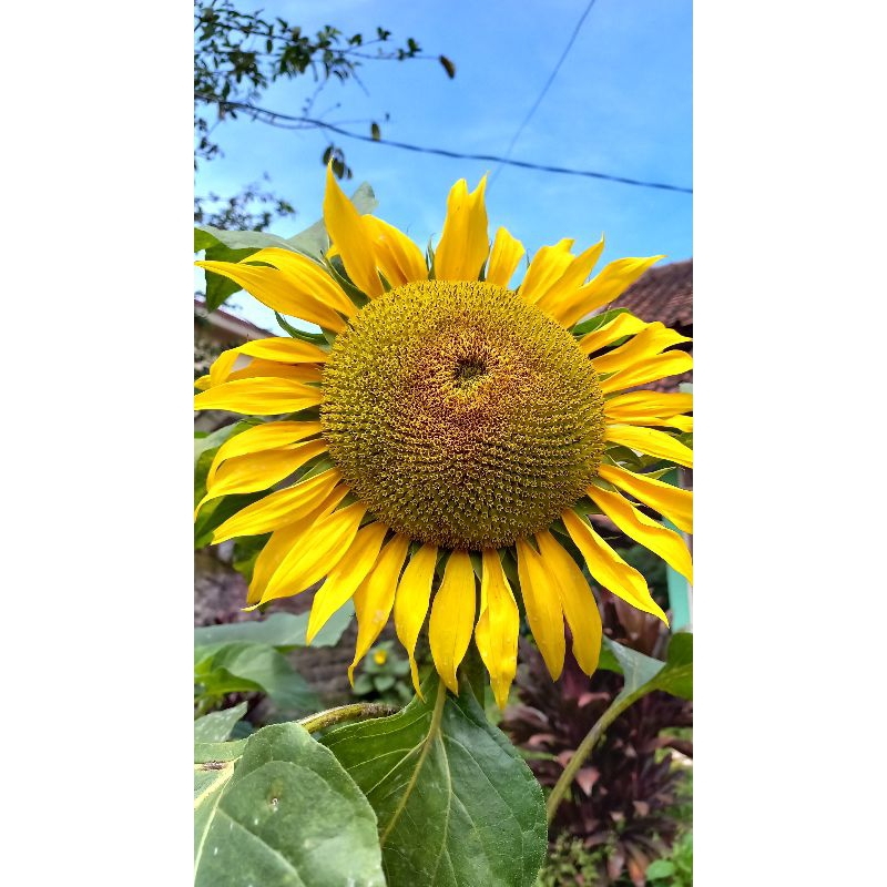 paket usaha fashion 100k