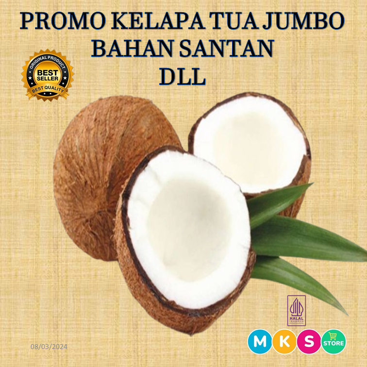 

Kelapa Tua Jumbo,Daging Kelapa Tebal,Sangat Baik Untuk Bahan Santan