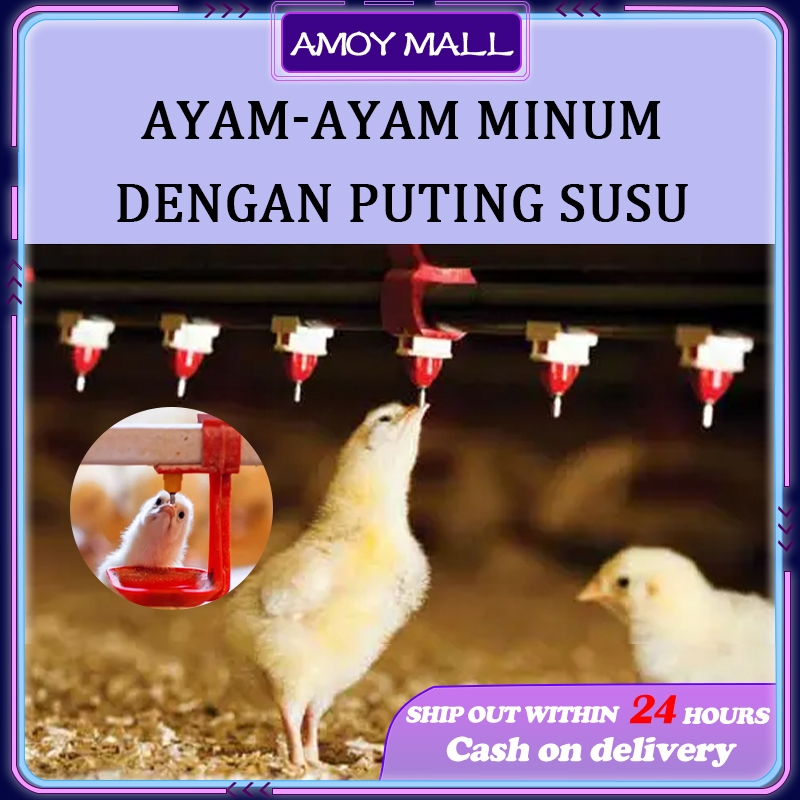 AMOY Nepel Nipel Nipple Nippel Ayam A9 merk ARTUPIC Petelur Broiler Puyuh Untuk Pipa 3/4 Inci