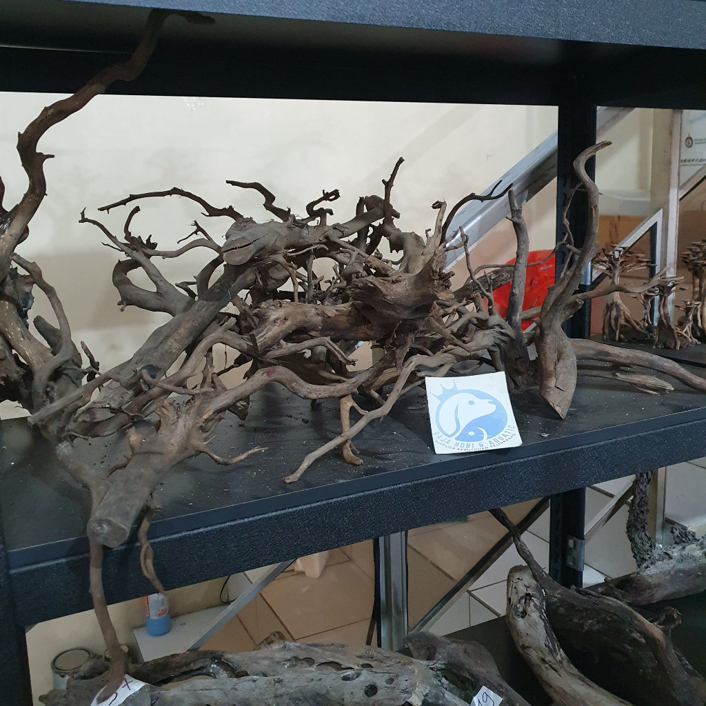 AKAR RASAMALA KAYU DEKORASI HIASAN AQUASCAPE AQUARIUM