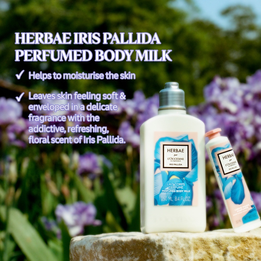 L'Occitane Herbae Iris Pallida Perfumed Body Milk 250ml - Krim Tubuh Pelembap Kulit Kering dan Normal
