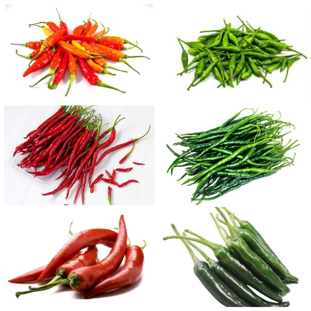 

cabe merah keriting / cabe merah besar / cabe rawit merah / cabe rawit hijau / cabe keriting hijau / cabe hijau besar / cabe merah tanjung / cabe hijau tanjung