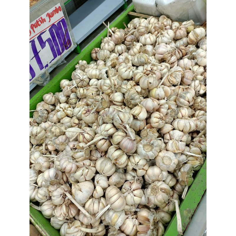 

1 KG BAWANG PUTIH JUMBO
