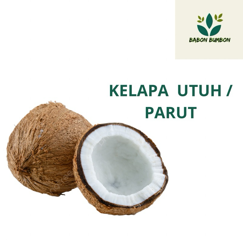 

KELAPA UTUH 1 BUAH