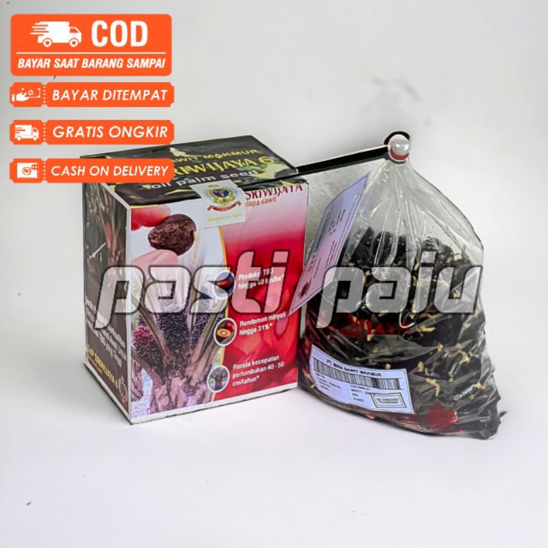 bibit sawit unggul sriwijaya 5