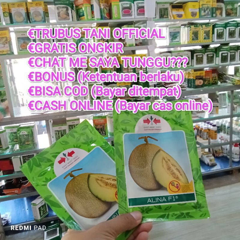 Benih Bibit Melon Madu Alina F1 (Tahan Virus Perawatan Mudah) Isi Benih 100 Butir (KEMASAN REPACKING