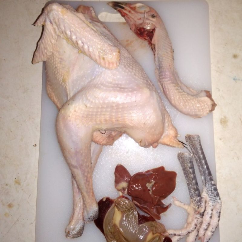 

AYAM KAMPUNG SEDANG FROZEN [ ukuran 650-700gram ] , di bantu potong