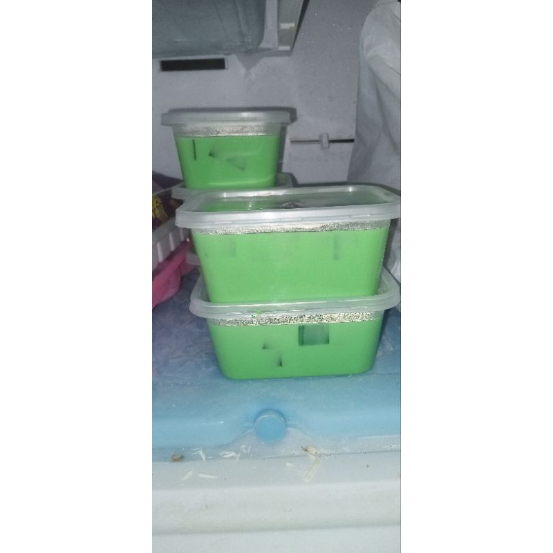 

Link Co Buko Pandan fresh 100pcs