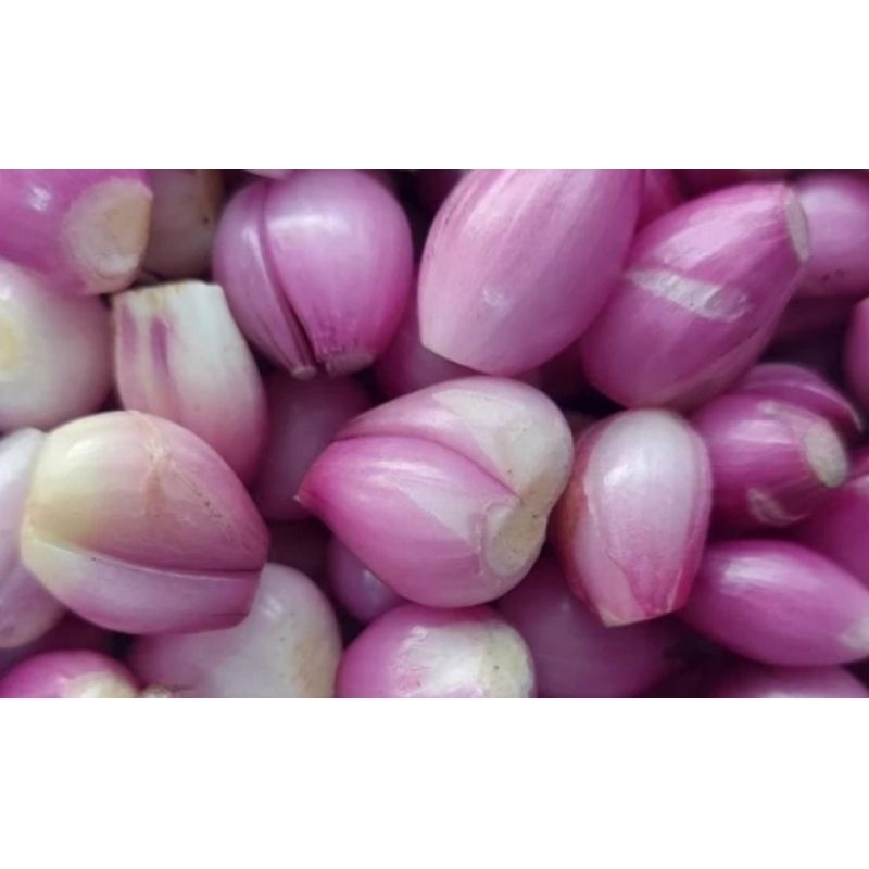 

BAWANG MERAH KUPAS, 100gr