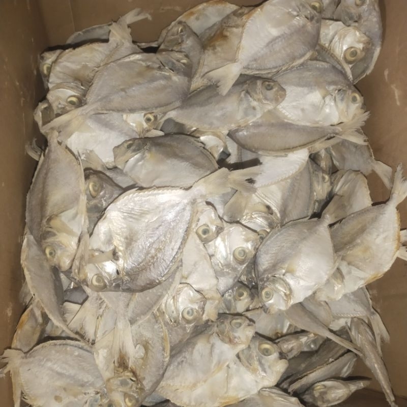 

Ikan Asin pirik sedanag 1 kg Enak Dan Gurih