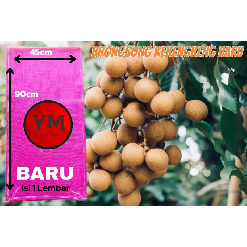 Brongsong kelengkeng BARU