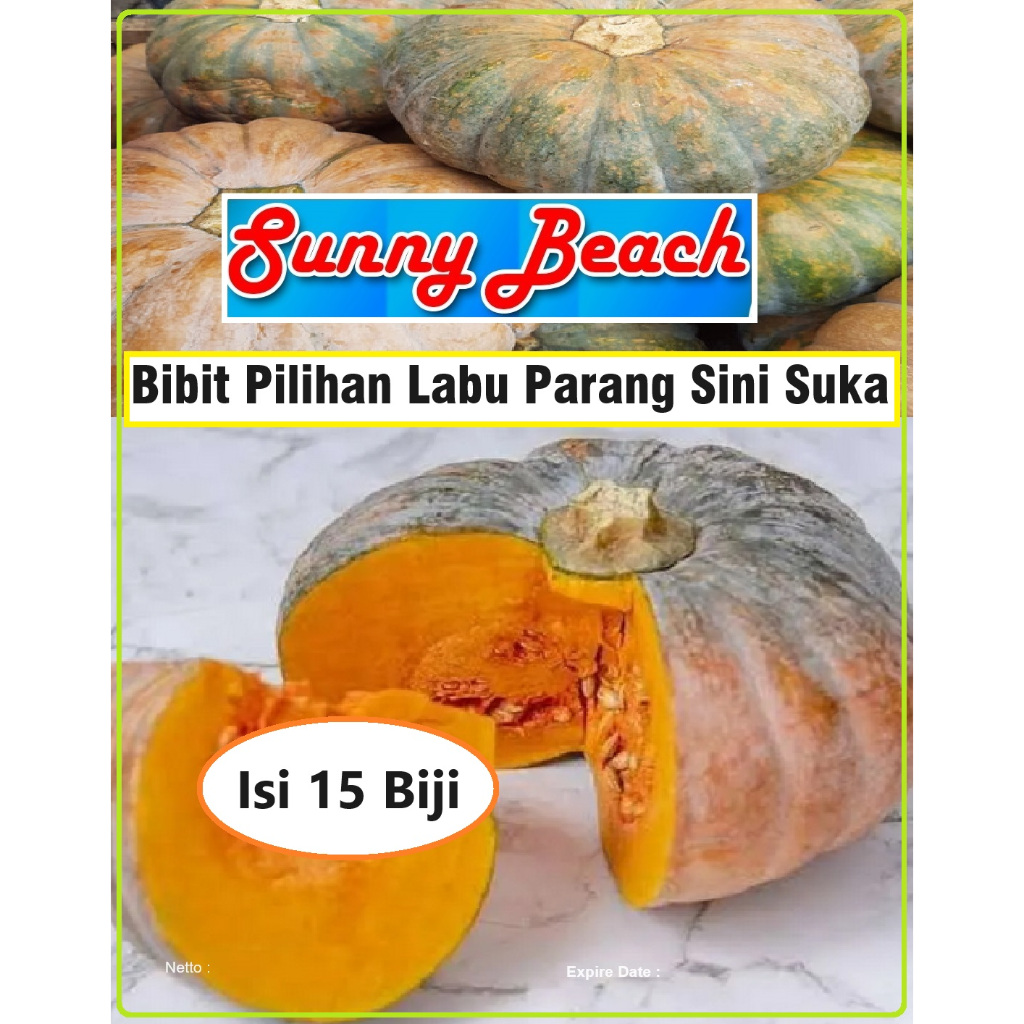 Bibit Pilihan Labu Parang Sini Suka|Biji Bibit Labu Parang Labu Kolak