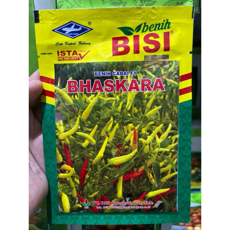 Benih cabe rawit putih hibrida BHASKARA F1 10 gram cabai baskara f1 10gr dari bisi chia tai