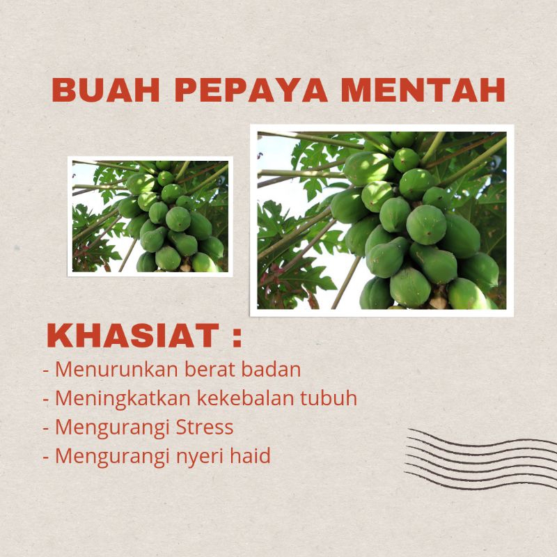 

Buah Pepaya Mentah Sekitar 1 Kg