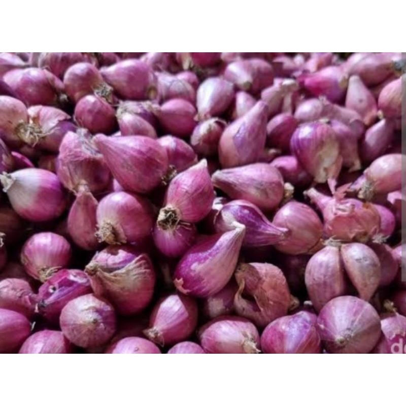 

Bawang merah_250gr