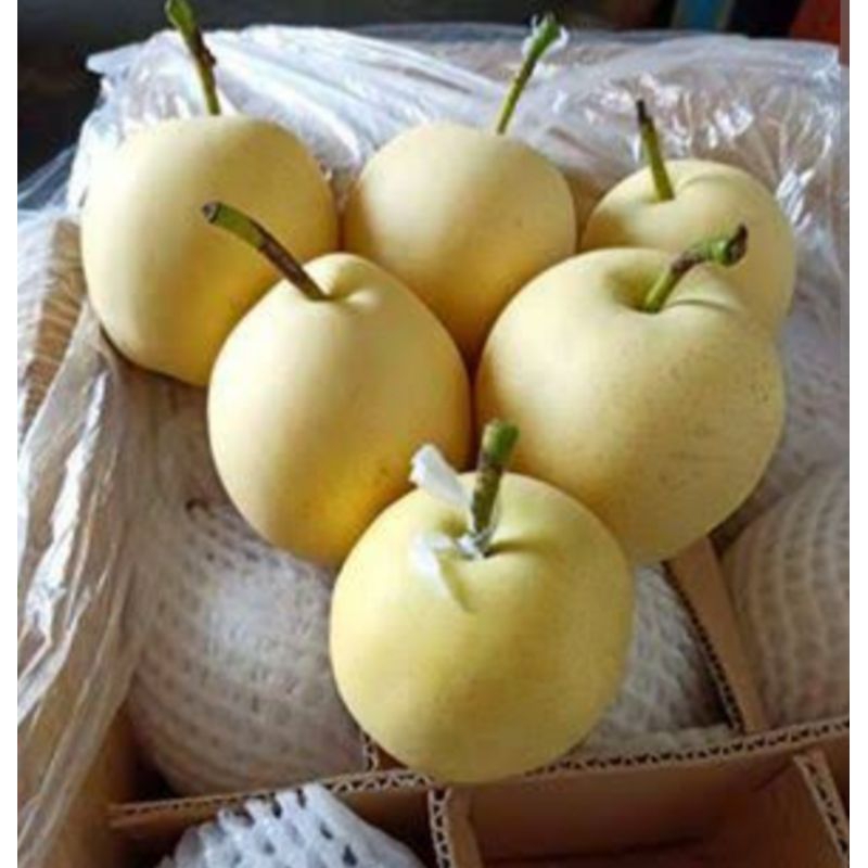 

pear sentury/pear madu _500grm