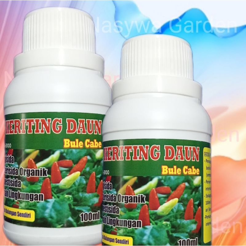 Pupuk Nutrisi Keriting Daun Cabe Obat Bule Cegah Virus Jamur dan Bakteri