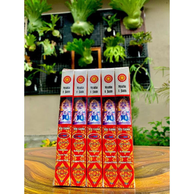 Dupa Dubali1 Varian Basah