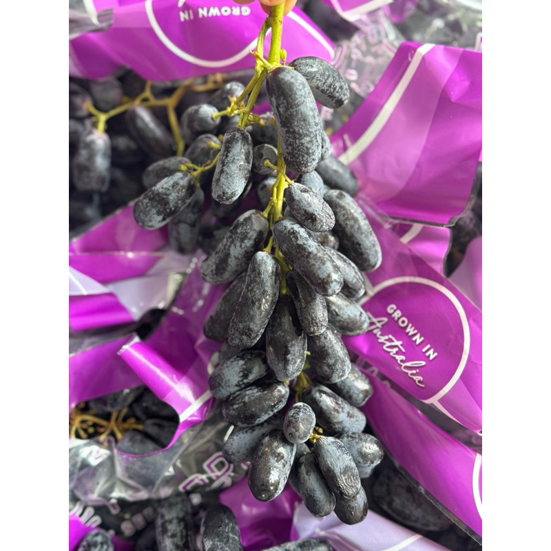 

Buah Anggur jari / moondrop 900gr