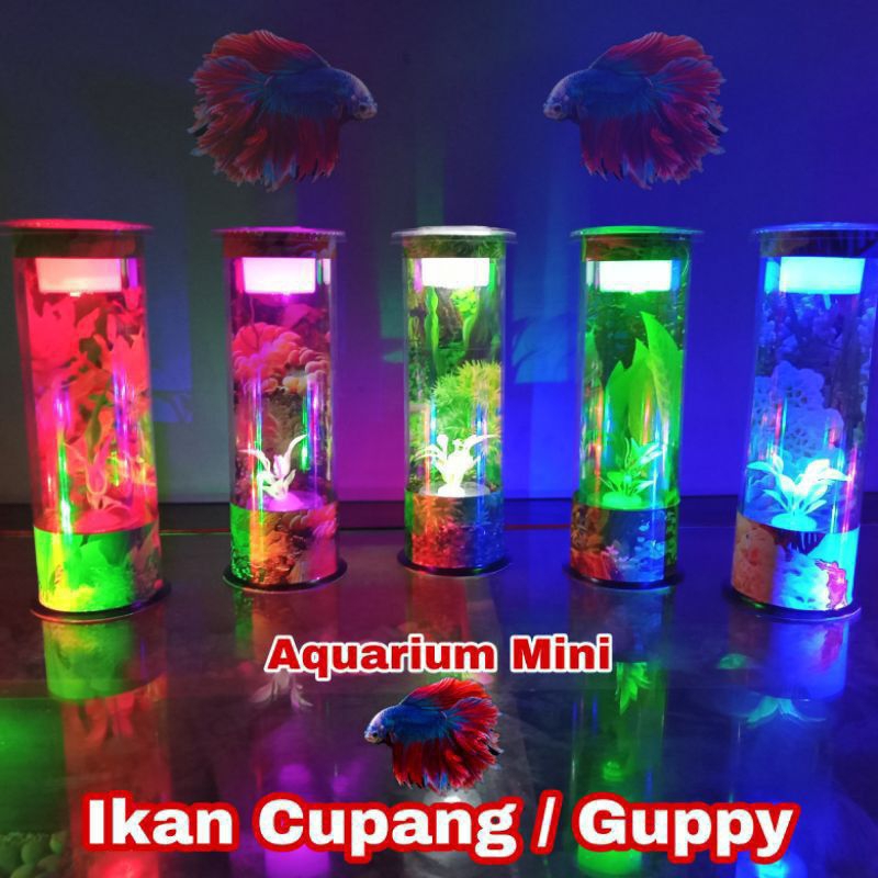 AQUARIUM IKAN CUPANG MINI TABUNG FULL HIASAN DAN LAMPU