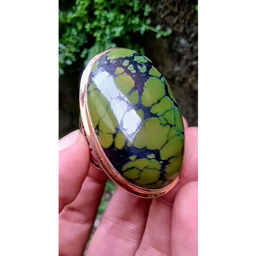 Pirus Hubei Dim 42 Ceplok Kura SUPER JUMBO Bkn Bacan Persia Pandan Yaman Garut