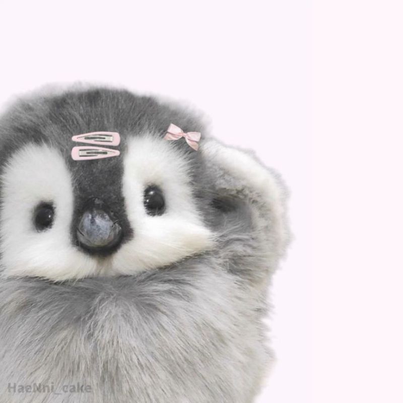 

[WAJIB] tambahan packing