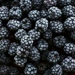 

BlackBerry Frozen 500gr