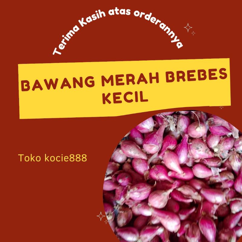 

Bawang Merah brebes kecil - kecil