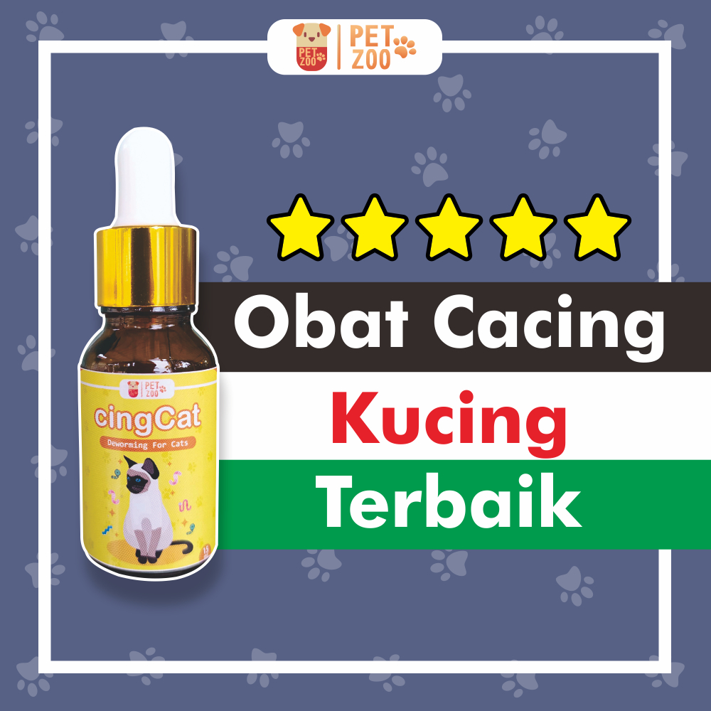 Obat Cacing Kucing Cingcat Ampuh Untuk Dewasa Kitten