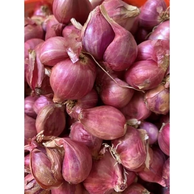 

BAWANG MERAH BESAR 1KG