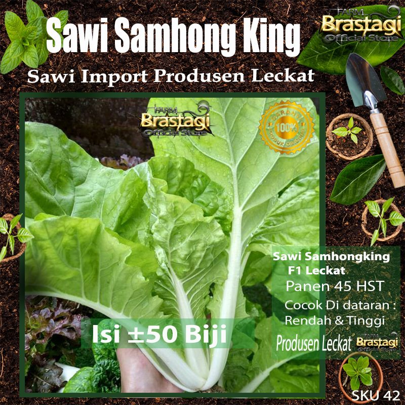 FBTG - 50 Benih Sawi Samhong King Super Ongking Keriting F1 Hibrida Sayuran - Bibit Tanaman Sayur Un