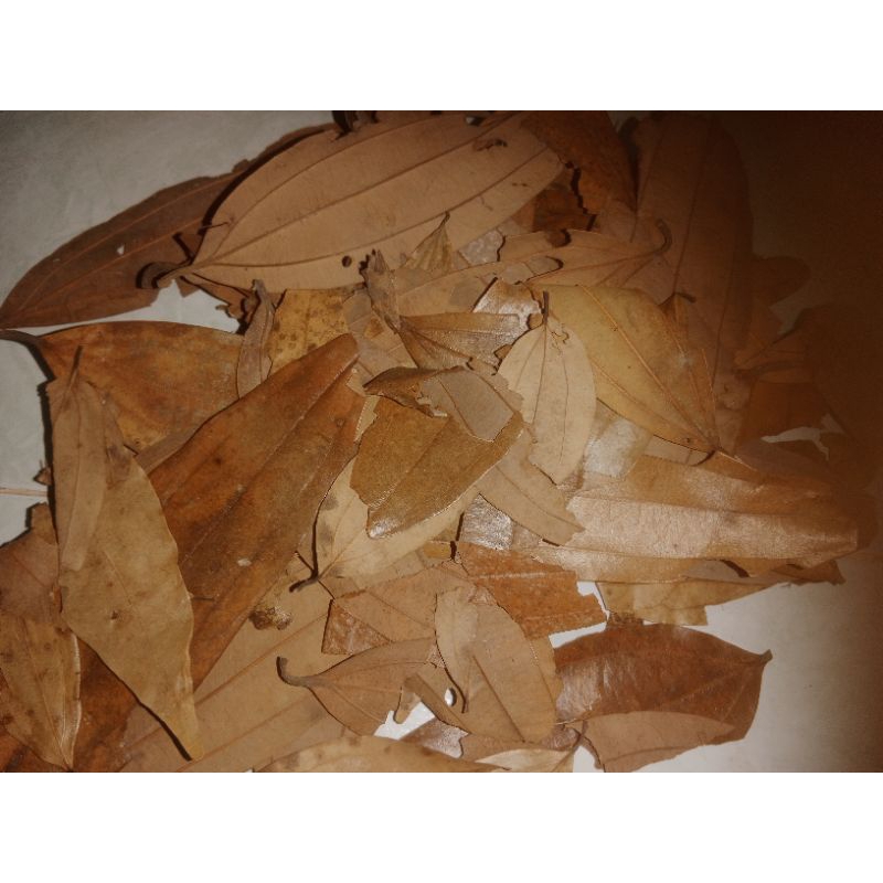 

DAUN KAYU MANIS 500gr