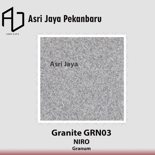Niro Granite 60x60 Granum - GRN03 Silver Gray