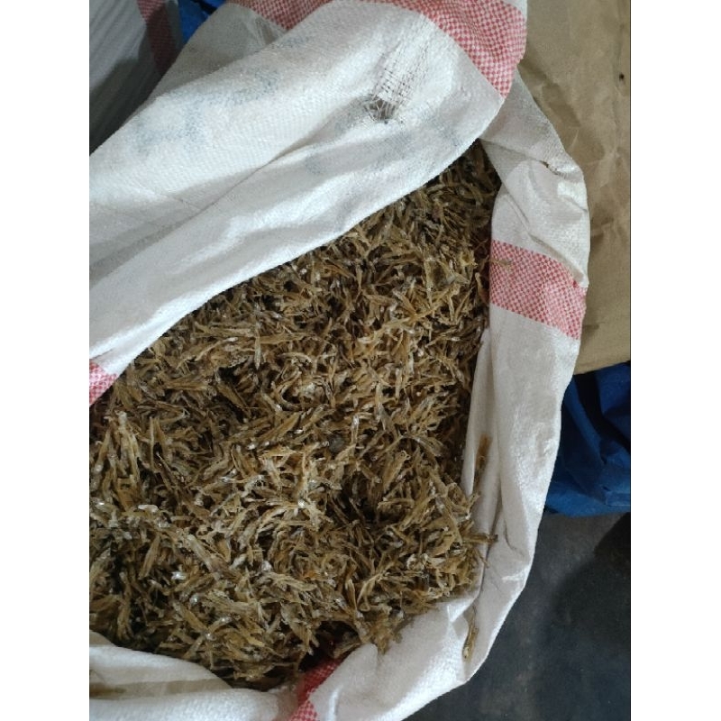 teri kecil tawar/teri halus tawar/teri nasi kering 1 kilogram