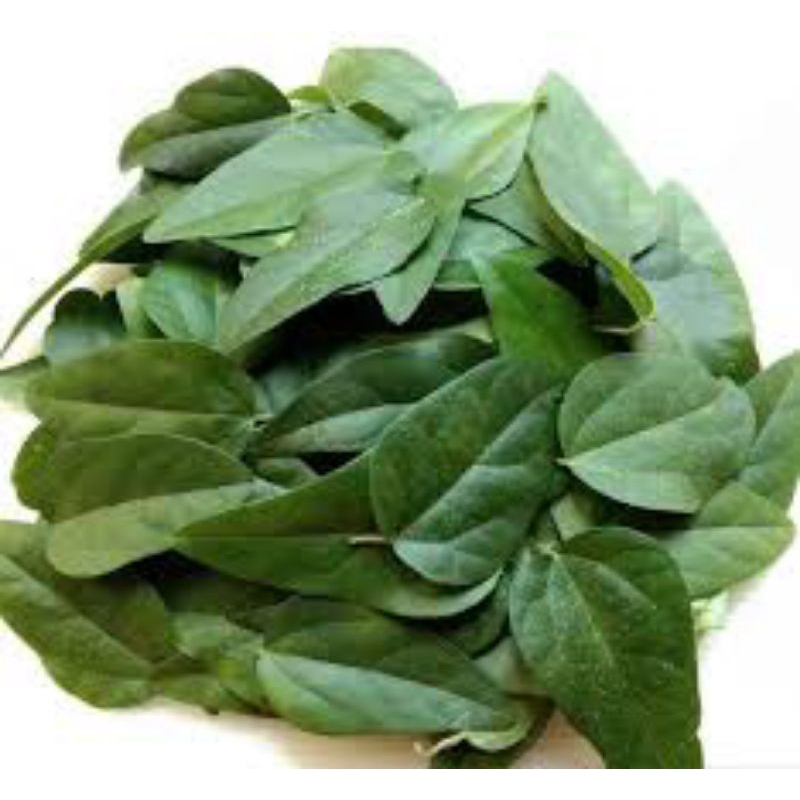 

Daun Cincau Hijau Herbal