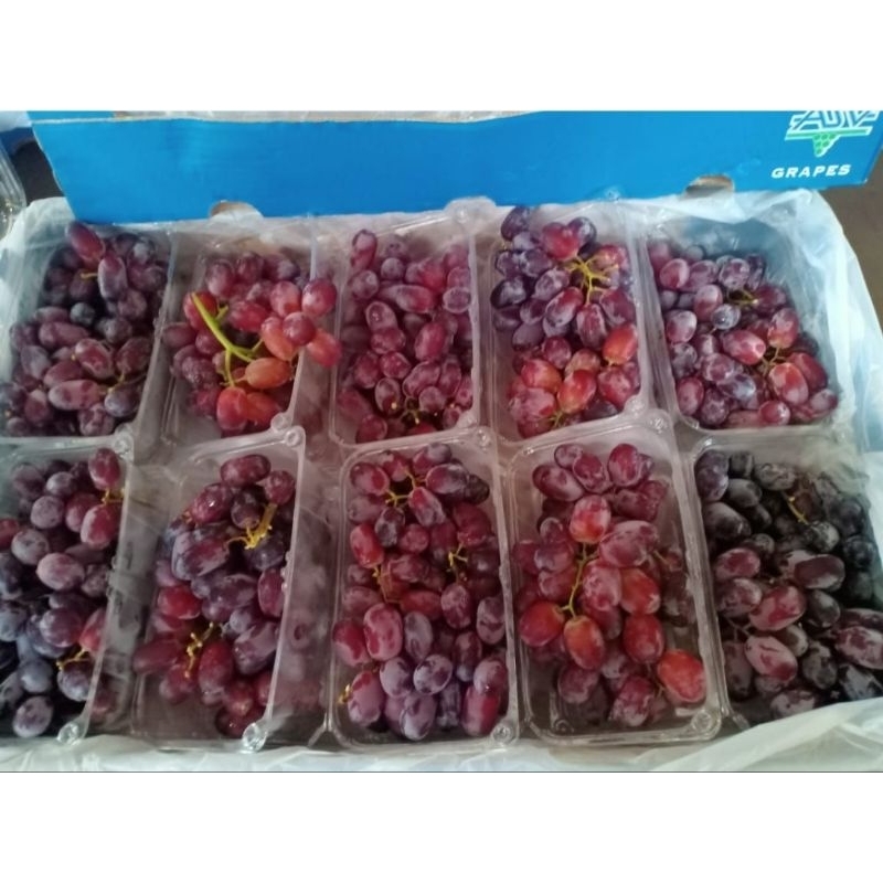 

Anggur Merah Crimson