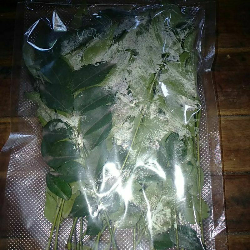 

Bumbu Daun Kari / Koro Keling / Salam Koja