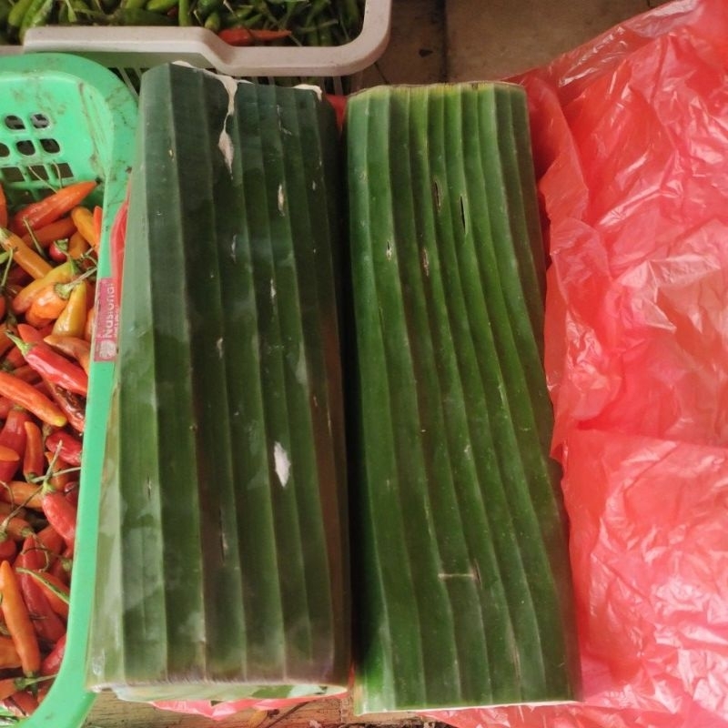 

tempe perpotong