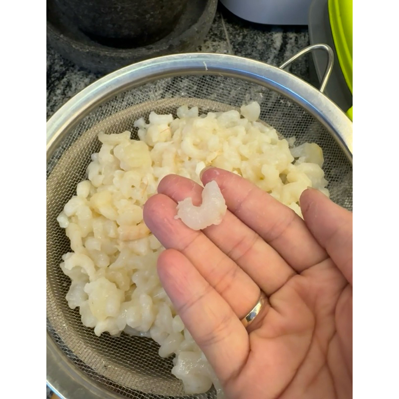 

Udang Duri Qi Hei Fresh Laut