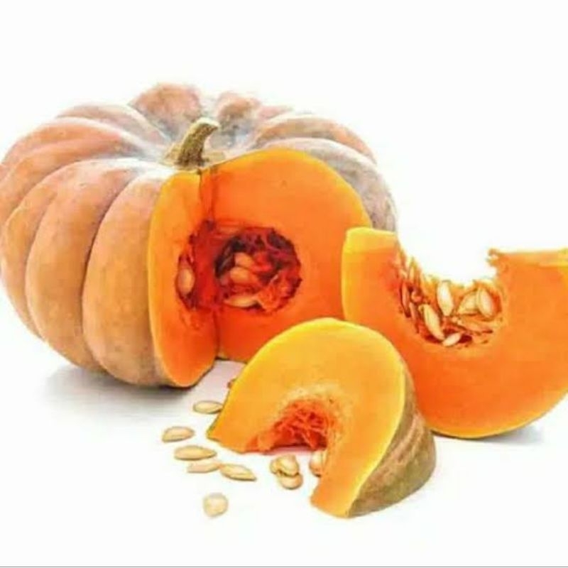 

labu kuning besar sedang kecil