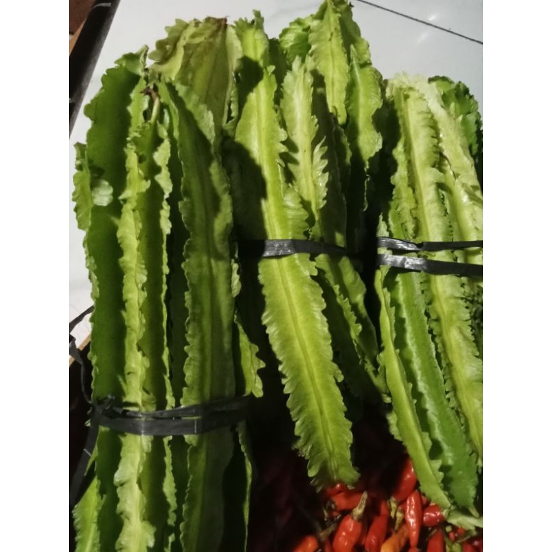 

sayur kecipir 500gr 27.900