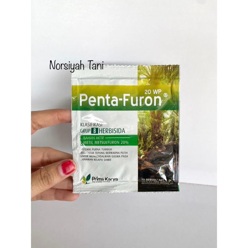 HERBISIDA PENTA-FURON 20WP