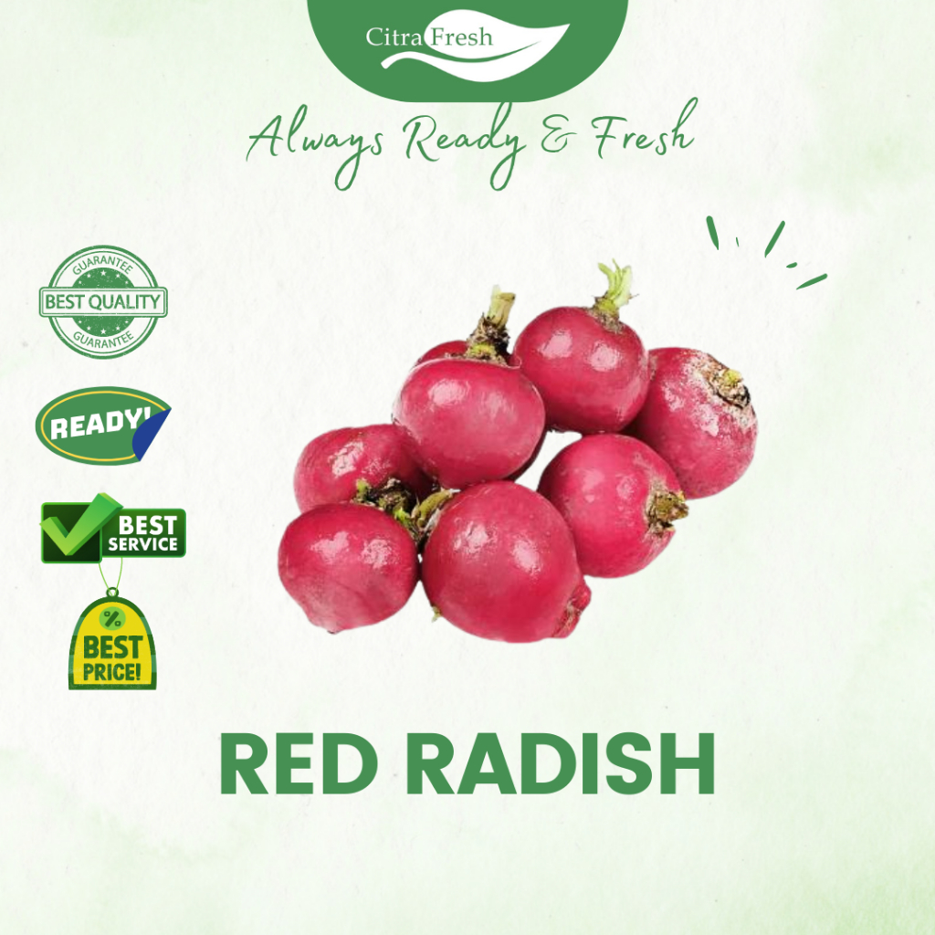 

CITRA FRESH - Red Radish 250 Gram - Selalu Ready dan Fresh