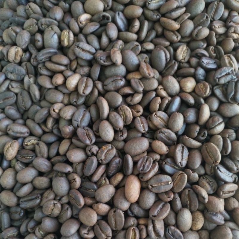 

Kopi Arabika Semeru